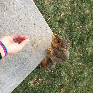 Meet your Posher, Teila